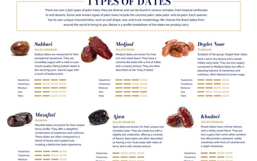 Palm Bites Types of Dates