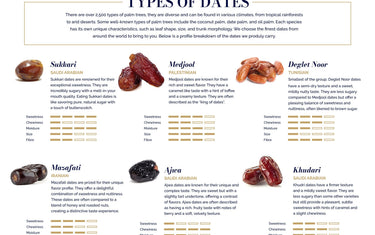 Exploring the Sweet World of Dates: Discover the Flavor Profiles of Our Varieties