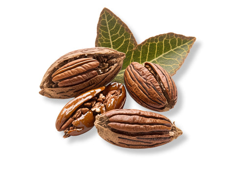 Pecan