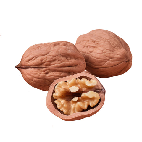 Walnut