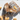 Coconut Roll Dates Variety - Palm Bites® - Naked Dates -